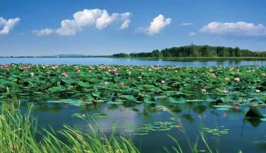 關于全面推進美麗遼寧建設的實施意見（征求意見稿）發(fā)布！